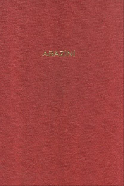 Абазины / Abazinler