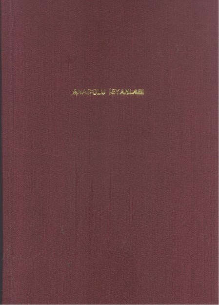 Anadolu İsyanları