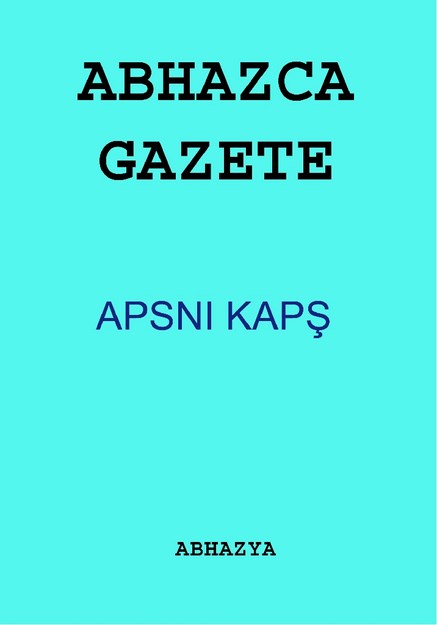 APSNI KAPŞ