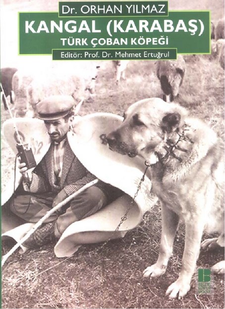Kangal ( Karabaş ) Türk Çoban Köpeği