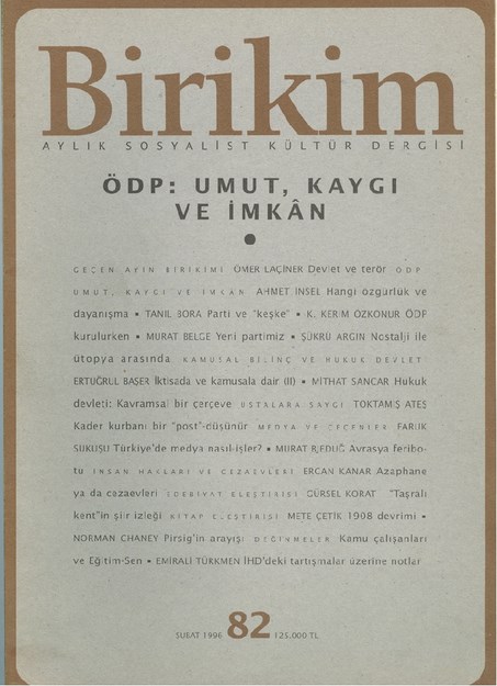Birikim Sayı-82