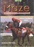 Maze Sayı-33