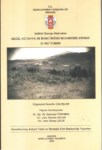 Gediz, Kütahya Ve İkinci İnönü Muharebelerinde 61. Tümen