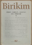 Birikim Sayı-82