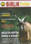 Birlik Postası