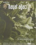 Hayat Ağacı Sayı-15