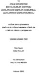 SOĞUK SAVAŞ SONRASI ESKİ SSCB COĞRAFYASINDA GÖRÜLEN ETNİK VE DİNSEL ÇATIŞMALAR