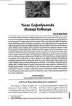 Turan Coğrafyasında (Kuzey) Kafkasya