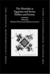 THE MAMLUKS IN EGYPTIAN AND SYRIAN POLITICS AND SOCIETY